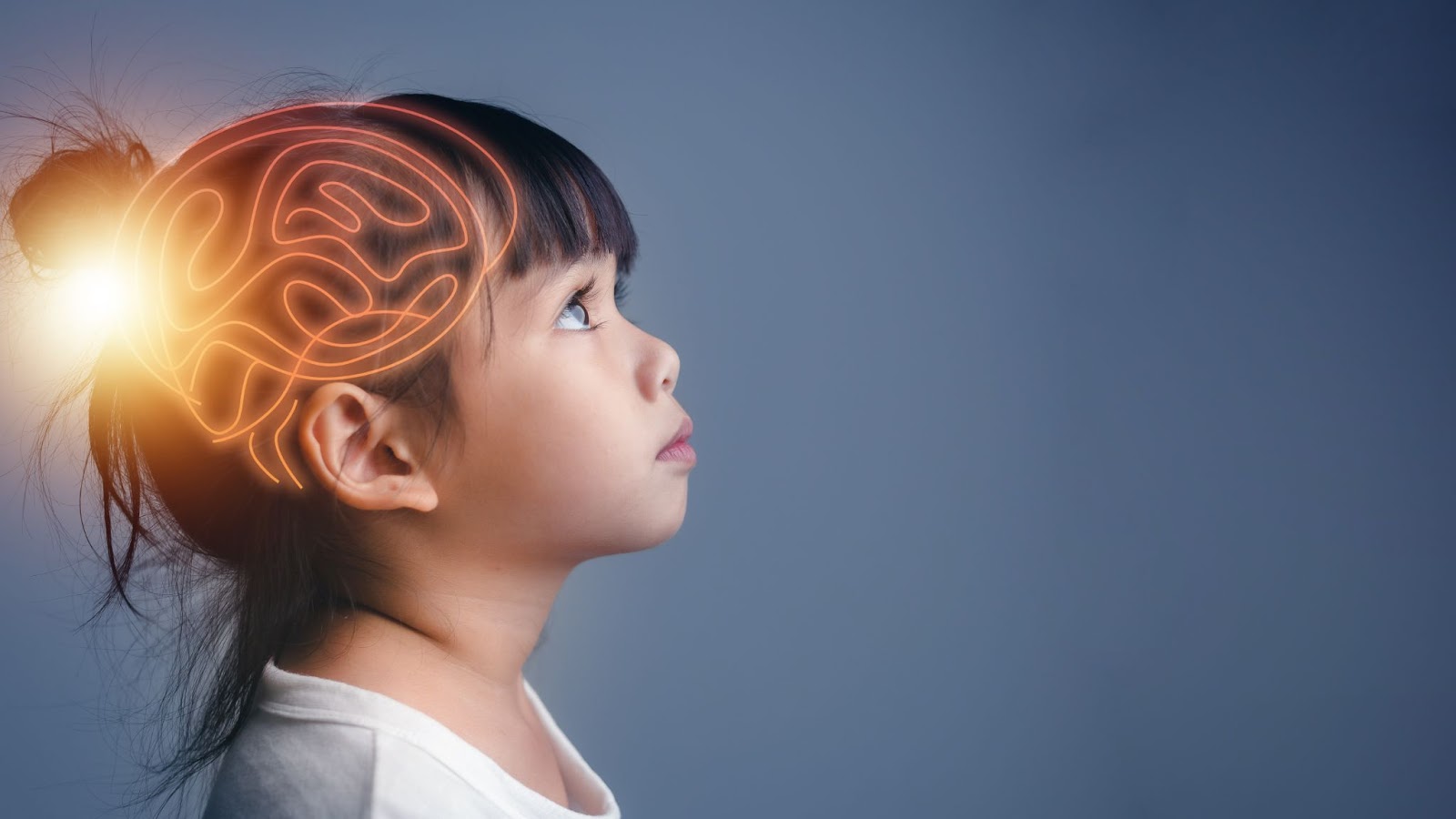 Концепция работы мозга у детей и развития памяти
